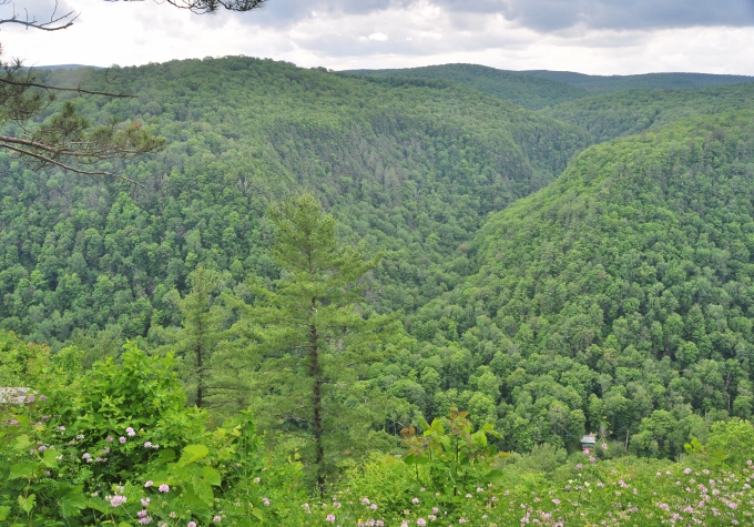 Pennsylvania Grand Canyon